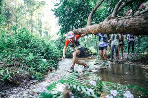 BIB: 
                            <button type="button" onclick="openModal(25446796)" class="btn btn-primary btn-sm float-right btn-popup" data-toggle="modal" data-target=".modal-high-quality">
                        <i class="fas fa-shopping-cart"></i> Add to Cart
                    </button>
                                            <button type="button" onclick="isThisMe(25446796, true)" class="btn btn-success btn-sm float-right btn-popup btn-isme hidden" data-toggle="tooltip" data-placement="bottom" title="นี่คือรูปของคุณใช่ไหม คลิกที่นี่เพื่อเอาเข้าอัลบั้ม">
                        <i class="fas fa-plus"></i> Add to album
                    </button>
                    <button type="button" onclick="isThisMe(25446796, false)" class="btn btn-warning btn-sm float-right btn-popup btn-isnotme hidden">
                        <i class="fas fa-ban"></i> Remove from album
                    </button>